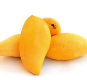 Mango Plant "Sindhri Pakistan" One of The World's Best Mangoes - Greensouq - 
