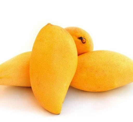 Mango Plant "Sindhri Pakistan" One of The World's Best Mangoes - Greensouq - 