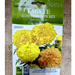 Marigold Flower seeds "Tagete Alto Doppio" by Hortus - Greensouq - 