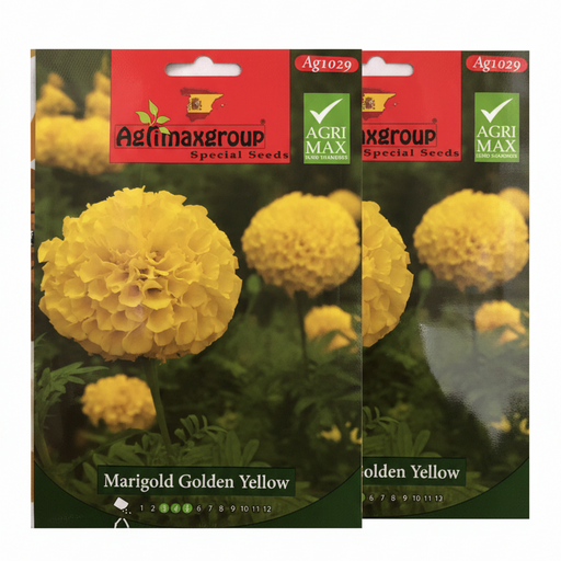 Marigold Golden Yellow Flower Seeds by Agrimax Spain - Greensouq - 