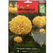 Marigold Golden Yellow Flower Seeds by Agrimax Spain - Greensouq - 