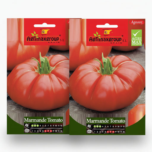 Agrimax Marmande Tomato Seeds - Greensouq -
