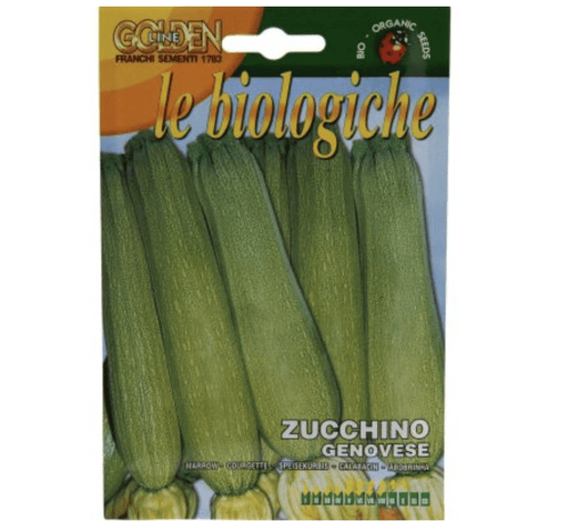 Marrow "Zucchino Genovese" Organic Seeds by Franchi - Greensouq -