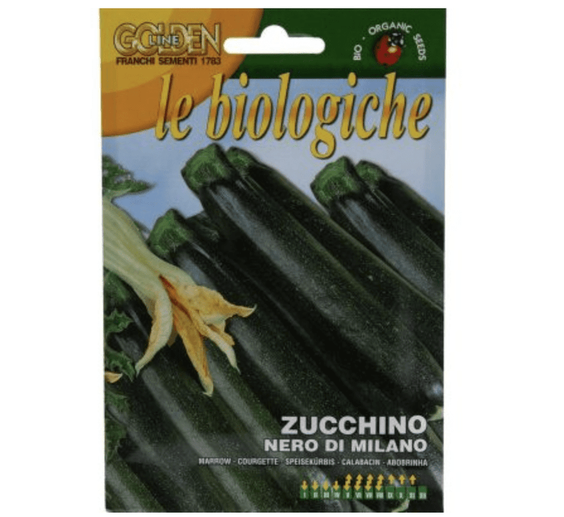 Marrow "Zucchino Nero Di Milano" Organic Seeds by Franchi - Greensouq -