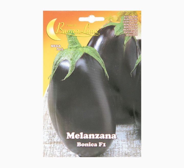 Melanzana Tonda Bonica F1 Mega Pack - Greensouq - 