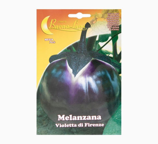 Melanzana Violetta Firenze Mega Pack - Greensouq - 