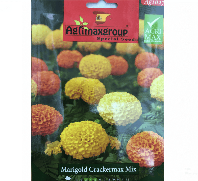 Merigold Crackermax Flower Seeds by Agrimax Spain - Greensouq - 