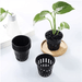 Mesh Net Pot "Hydroponics Plant Pot" (2", 3"&amp; 4") - Greensouq - 