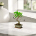 Mini Bonsai Mixed with Bowl 40 - 50cm - Greensouq - 