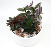 Mini Evergreen Garden | Lovers Gift | Nanouk, Peperomia & Haworthia - Greensouq - 