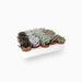 Mini succulents "Mix" - Greensouq - 