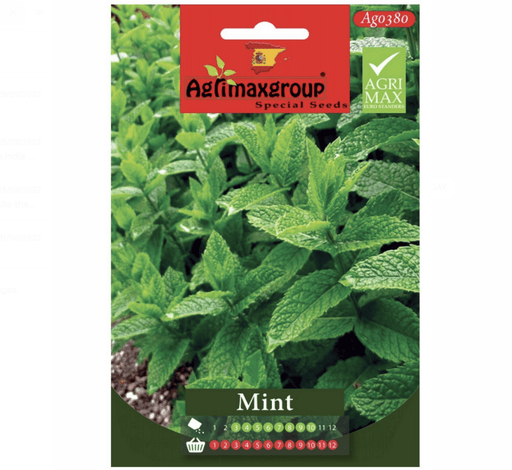Mint Agrimax Seeds - Greensouq - 