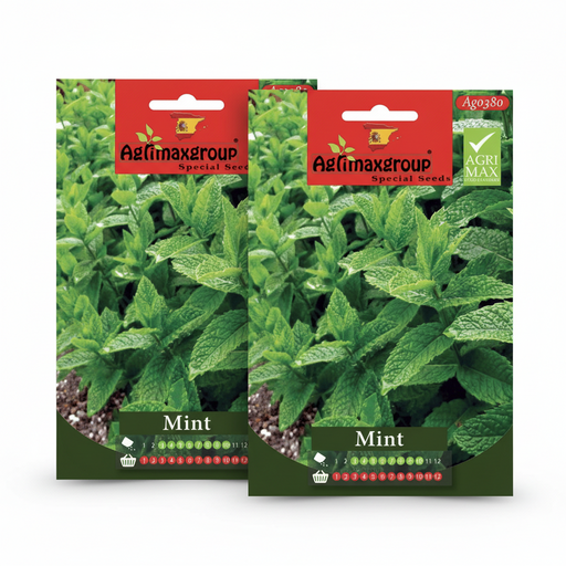 Agrimax Mint Seeds - Greensouq -