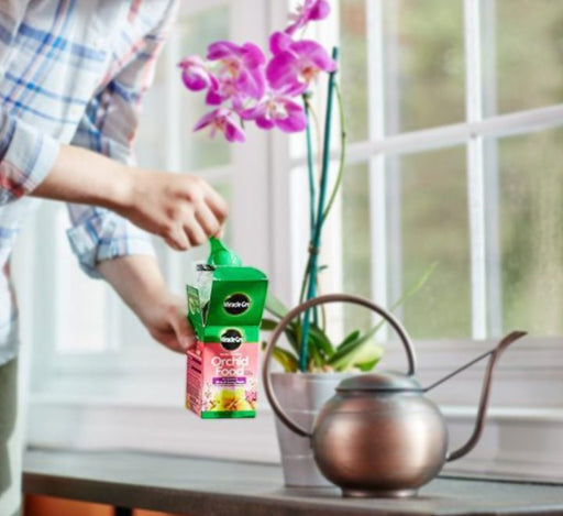 Miracle - Gro Orchid Food - Greensouq - 