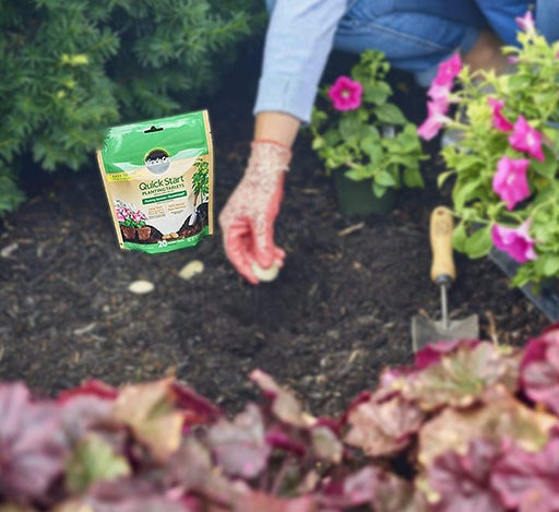 Miracle - Gro - Quick Start Planting Tablets - Greensouq - 