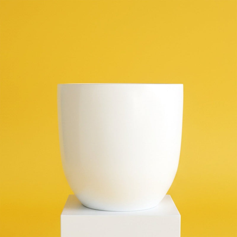 Modern Fiber Reinforced Plastic Pot | FRP (Dia 46cm x Height x 46cm) - All Colors - Greensouq - 