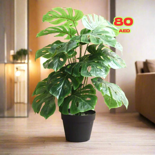 artificial swiss cheese plant Monstera Artificial Plant – 55cm — Greensouq