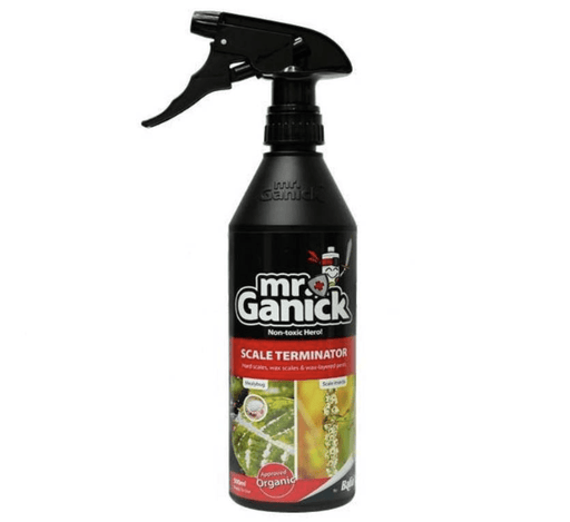Mr. Ganick Organic "Mealybug and Scale Terminator Spray" 500ml - Greensouq - 