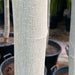 mulbery 3.5 m