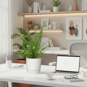 Nephrolepis exaltata "Green Lady", Boston Fern or Sword Fern in Ceramic Pot - Greensouq - 