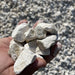 Off White Gravel 2 - 4cm 20kg Bag - Greensouq - 