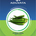 Kirti Plus Hybrid Okra