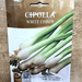 Onion Vegetables Seeds "Cipolla White Lisbon" by Hortus - Greensouq - 