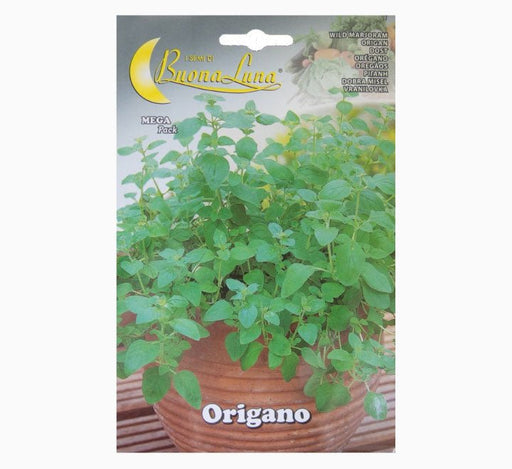Origano Seeds - Greensouq - 