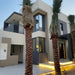 Palm Tree "Phoenix Dactylifera Or Date Palm" النخلة - Greensouq - 