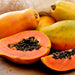Papaya dwarf Thai 1.5 - 1.8m شجرة البابايا - Greensouq - 
