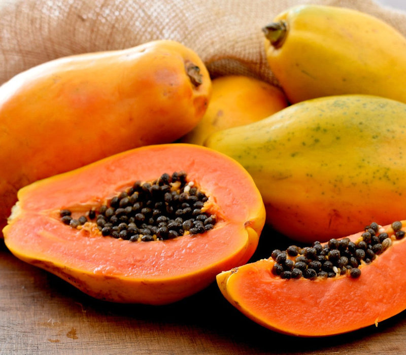 Papaya dwarf Thai 1.5 - 1.8m شجرة البابايا - Greensouq - 