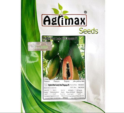 Papaya Fruit Seeds "Hybrid Red Lady Star Papaya F1" by Agrimax - Greensouq - 