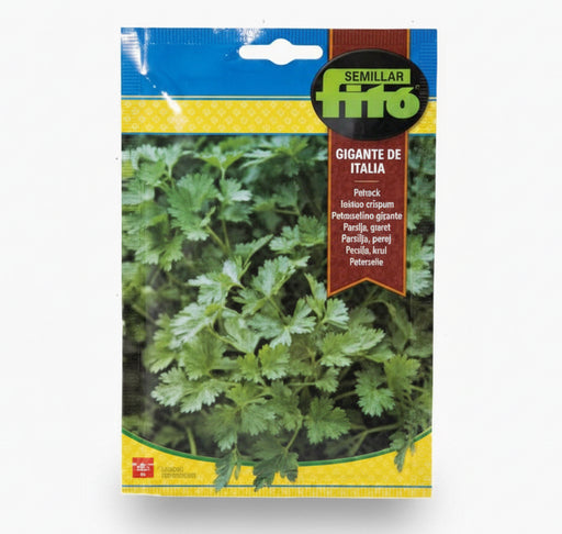 Parsley Gigante Italia Seeds 20g - Fito - Greensouq - 