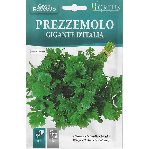 Parsley "Prezzemolo Gigante D’ Italia" Seeds by Hortus - Greensouq - 