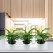 Peaceful Trio: Bundle of 3 Lush Peace Lily Plants in Cement Pots - Greensouq - 