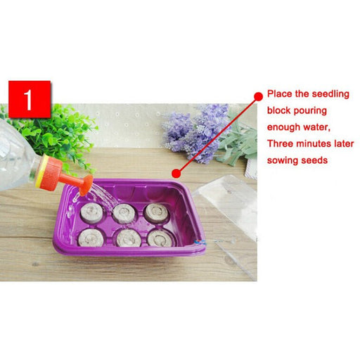 Peat Pellets or Peat Seeds Starters 3x3x1cm "Best way To Start Seeds" - Greensouq - 