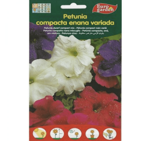 Petunia Dwarf Compact Mix Premium Quality Seeds by EuroGarden - Greensouq - 