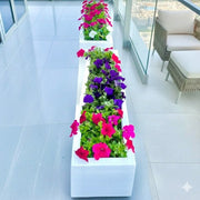 Petunia Flowers In Grp Pot 90x30x30 - Greensouq - 