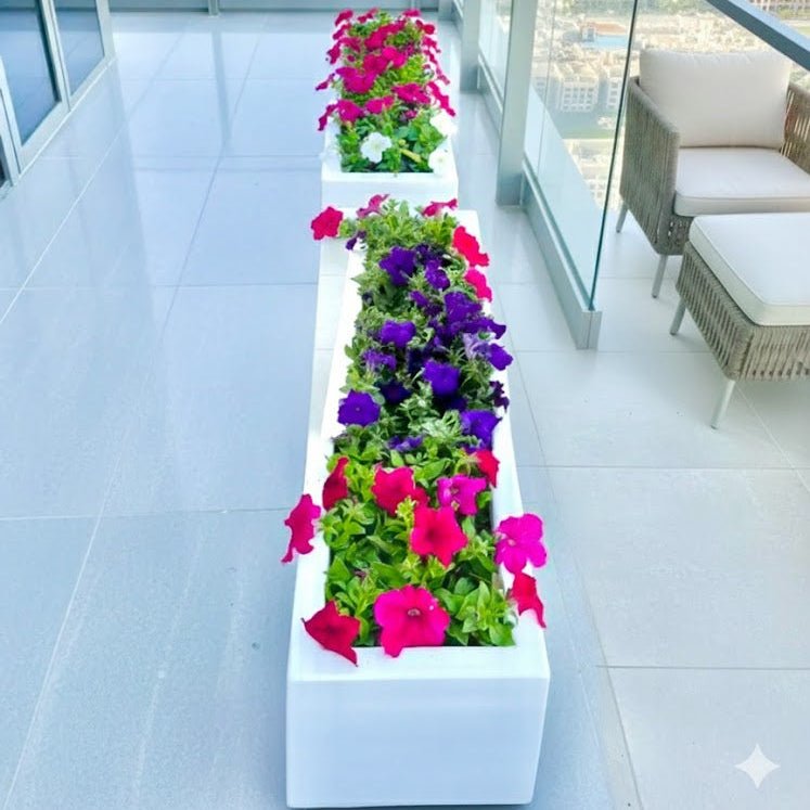 Petunia Flowers In Grp Pot 90x30x30 - Greensouq - 