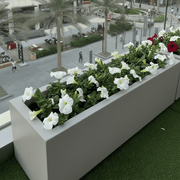 Petunia Flowers In Grp Pot 90x30x30 - Greensouq - 