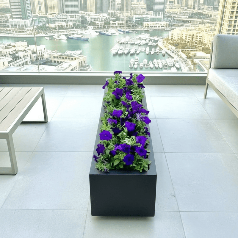 Petunia Flowers In Grp Pot 90x30x30 - Greensouq - 