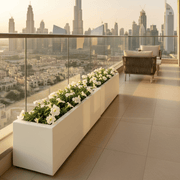 Petunia Flowers In Grp Pot 90x30x30 - Greensouq - 