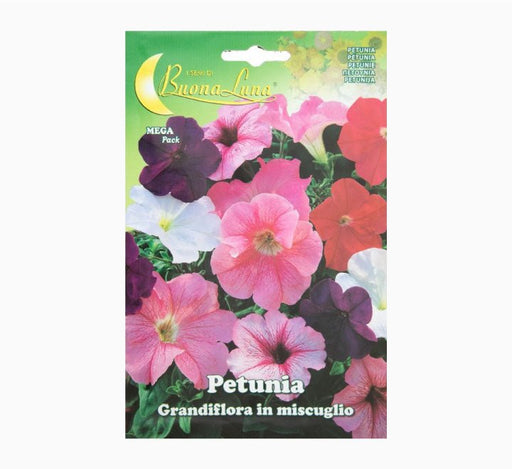 Petunia Grandiflora Mix Flowers Seeds - Greensouq - 