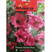 Petunia Heaven Rose Flower Seeds by Agrimax Spain - Greensouq - 