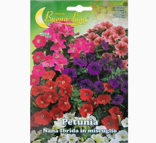 Petunia Ibrida Nana Mix Flowers Seeds - Greensouq - 