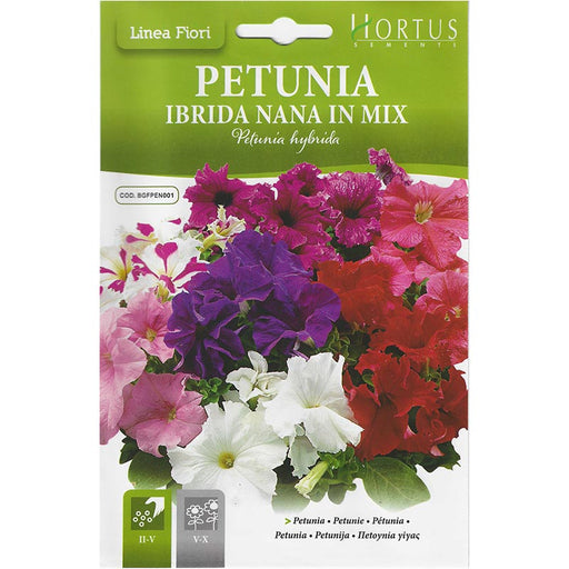 Petunia Mix "Petunia Ibrida Nana In Mix" Premium Quality Seeds by Hortus - Greensouq - 