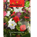 Petunia Nana Compact Mix Flower Seeds by Agrimax Spain - Greensouq - 