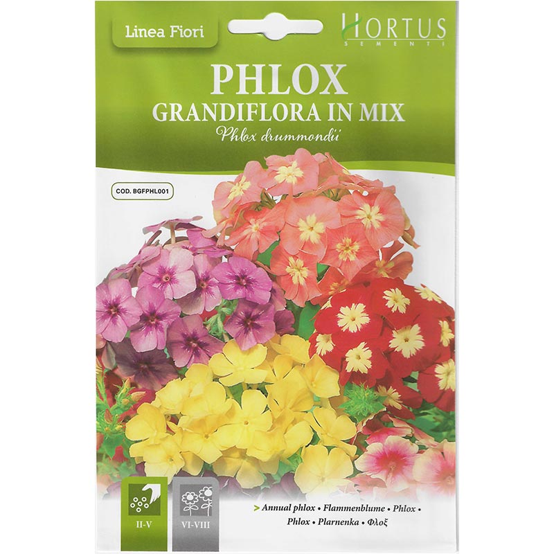 Phlox Mix "Phlox Grandiflora In Mix" Premium Quality Seeds by Hortus Sementi - Greensouq - 