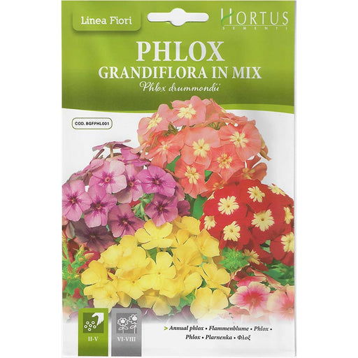 Phlox Mix "Phlox Grandiflora In Mix" Premium Quality Seeds by Hortus Sementi - Greensouq - 