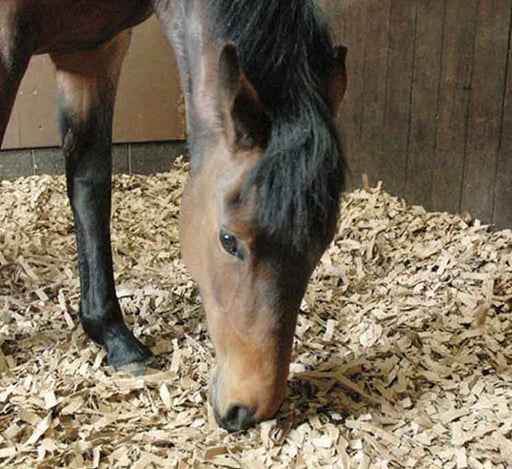 Pine Flakes or Shavings "Horse Bedding" 14KG - Greensouq - 
